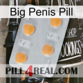 Big Penis Pill 24